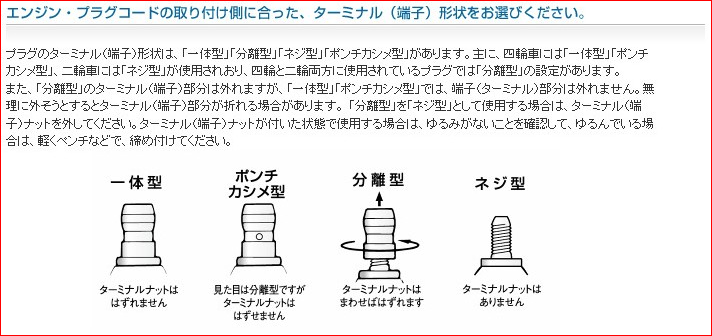 イグニッションプラグ